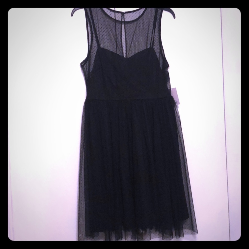 Lauren Conrad midnight garden dress